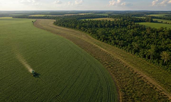Artigo: Biodiversidade na pauta da agenda de comunicação no agro brasileiro