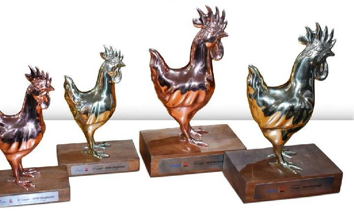 Aviagen reconhece os melhores lotes do Brasil na Premiação Nacional de Matrizes Ross 308 AP