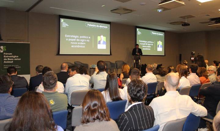 Bem-estar animal se consolida como pilar de competitividade e gestão de risco no agronegócio brasileiro