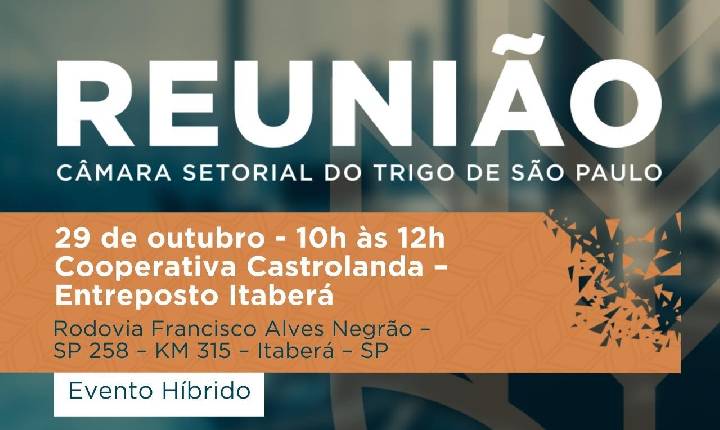 Câmara Setorial do Trigo de São Paulo discutirá expectativas para o encerramento da safra 2026/27
