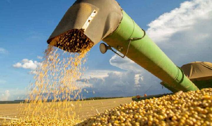 Clima e geopolítica sinalizam alta nas cotações das commodities agrícolas
