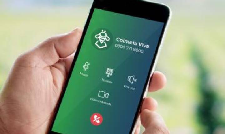 Colmeia Viva® conta com Canal 0800 para orientar agricultores e apicultores sobre proteção de abelhas