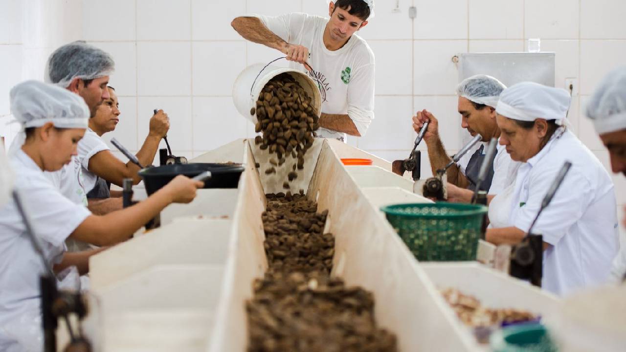 Consulta sobre bens sustentáveis no acordo Mercosul–UE acaba na quarta