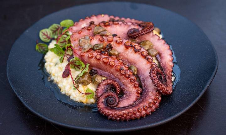 Dia dos Pais: Bistrô da Pousada Estaleiro Guest House reúne gastronomia autoral, natureza e menu especial em Balneário Camboriú