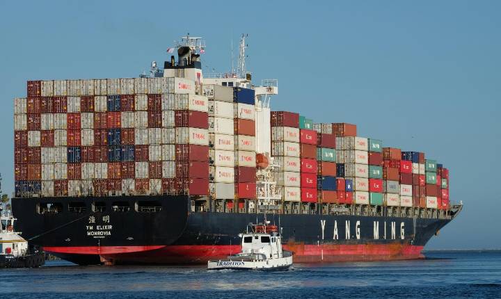 Diversificação setorial e gestão da sazonalidade impulsionam crescimento de microfranquia de importação