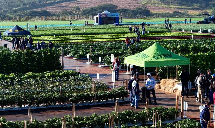 Evento que marcou gerações de produtores completa 20 anos impulsionando a horticultura brasileira