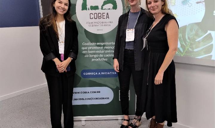 Fazenda Speranza e Cooperl se associam à COBEA em prol do bem-estar animal