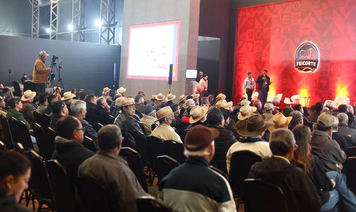 Feicorte reúne 20 mil pessoas na edição 2026 e confirma avanço brasileiro na produção de carne bovina de qualidade