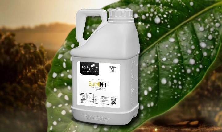Fortgreen anuncia nova estratégia em apoio aos distribuidores frente aos desafios do mercado de crédito