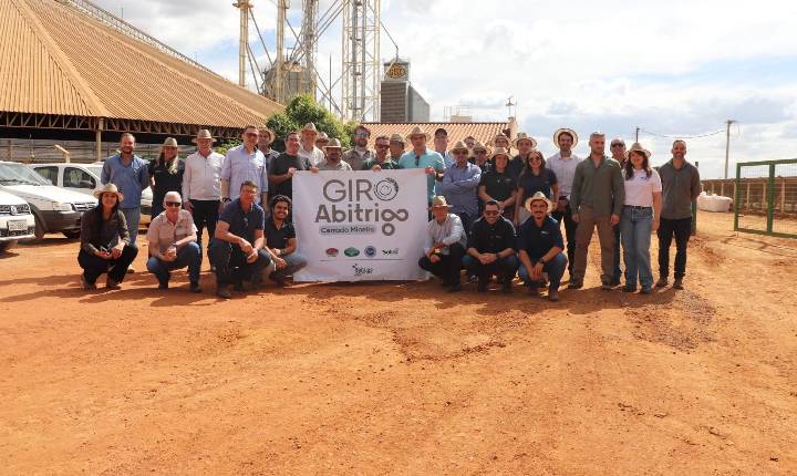 Giro Abitrigo aproxima moinhos do potencial do trigo produzido no Cerrado Mineiro