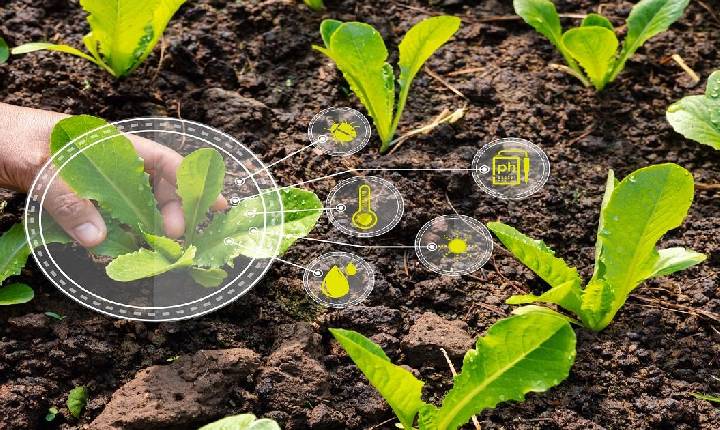 Indústria de bioinsumos busca escalabilidade e segurança jurídica para sustentar crescimento no campo