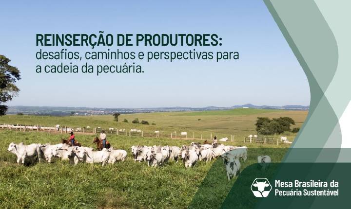 Mesa Brasileira da Pecuária Sustentável reúne representantes do setor em vídeo sobre reinserção de produtores