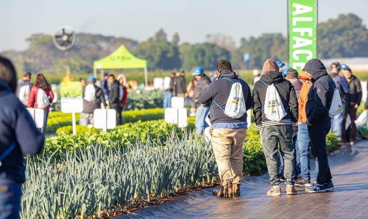 Open Field Day completa 20 anos como vitrine de inovação em horticultura