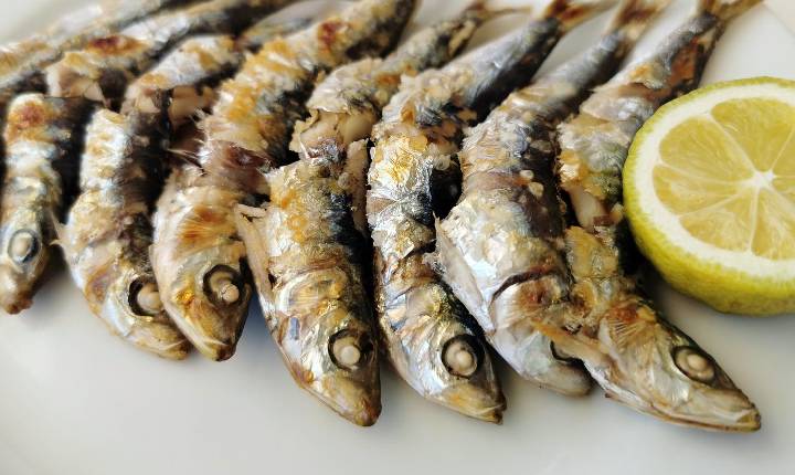 Por que especialistas consideram pescados em conserva um superalimento?
