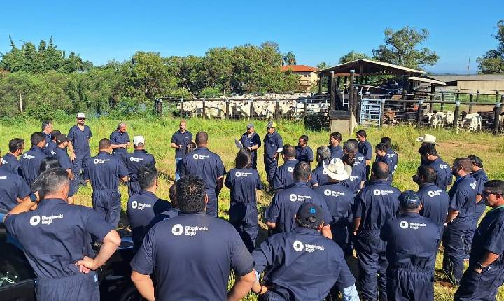 Programa conecta ciência aplicada à rotina do campo com a formação de multiplicadores de conhecimento na pecuária brasileira