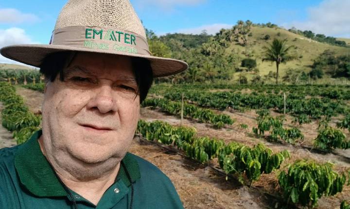 Uso de silicato na correção do solo alcança mais de 60 culturas em Minas Gerais