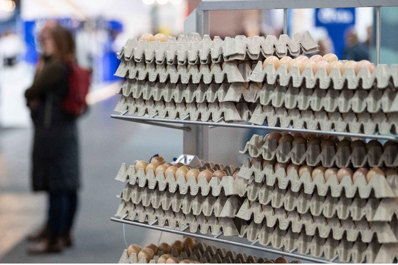 Com foco em novas tecnologias, evento especializado em avicultura retorna à EuroTier 2024