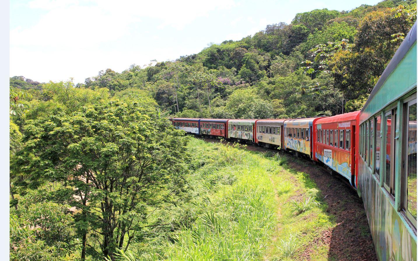 Férias de inverno: de 11 a 31 de julho, tem trem todos os dias para o litoral do Paraná