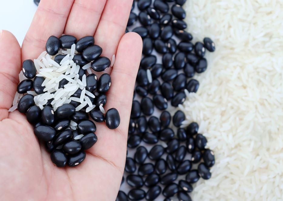 Redução do custo da cesta básica em São Paulo reflete tendências nacionais