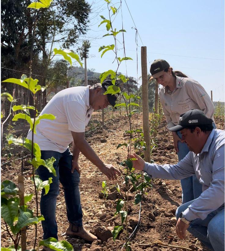 Coopercam lança Projeto Fruticultura
