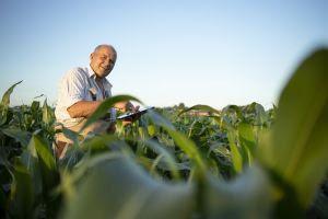 Nova lei do agronegócio beneficia pequenos e médios produtores rurais com retornos financeiros