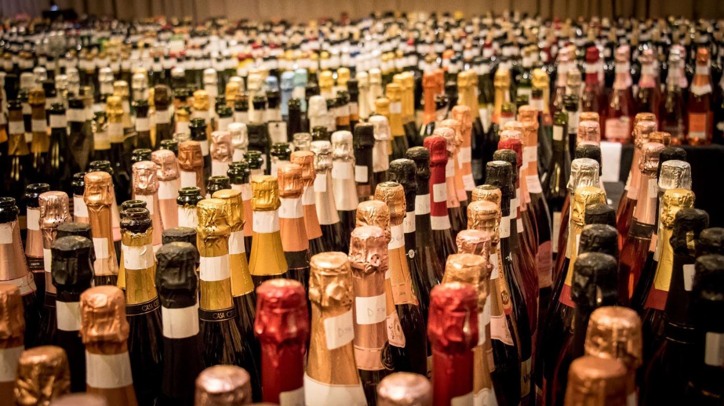 40 categorias de vinhos nacionais disputam a Grande Prova Vinhos do Brasil 2025