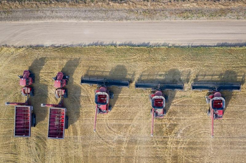 Brasil lidera exportações mundiais de commodities do agronegócio e tem potencial de expansão em 2025