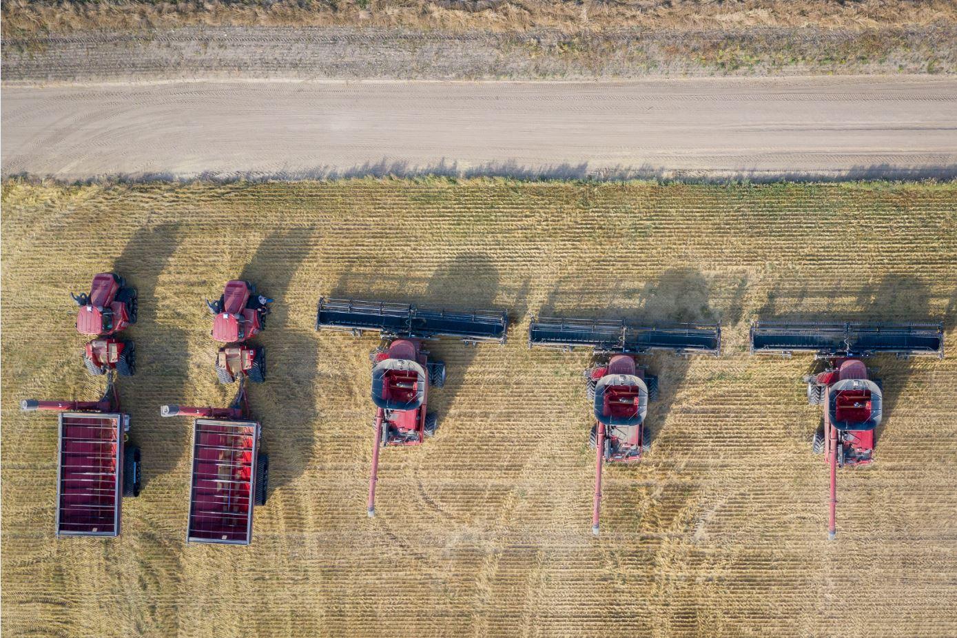 Brasil lidera exportações mundiais de commodities do agronegócio e tem potencial de expansão em 2025