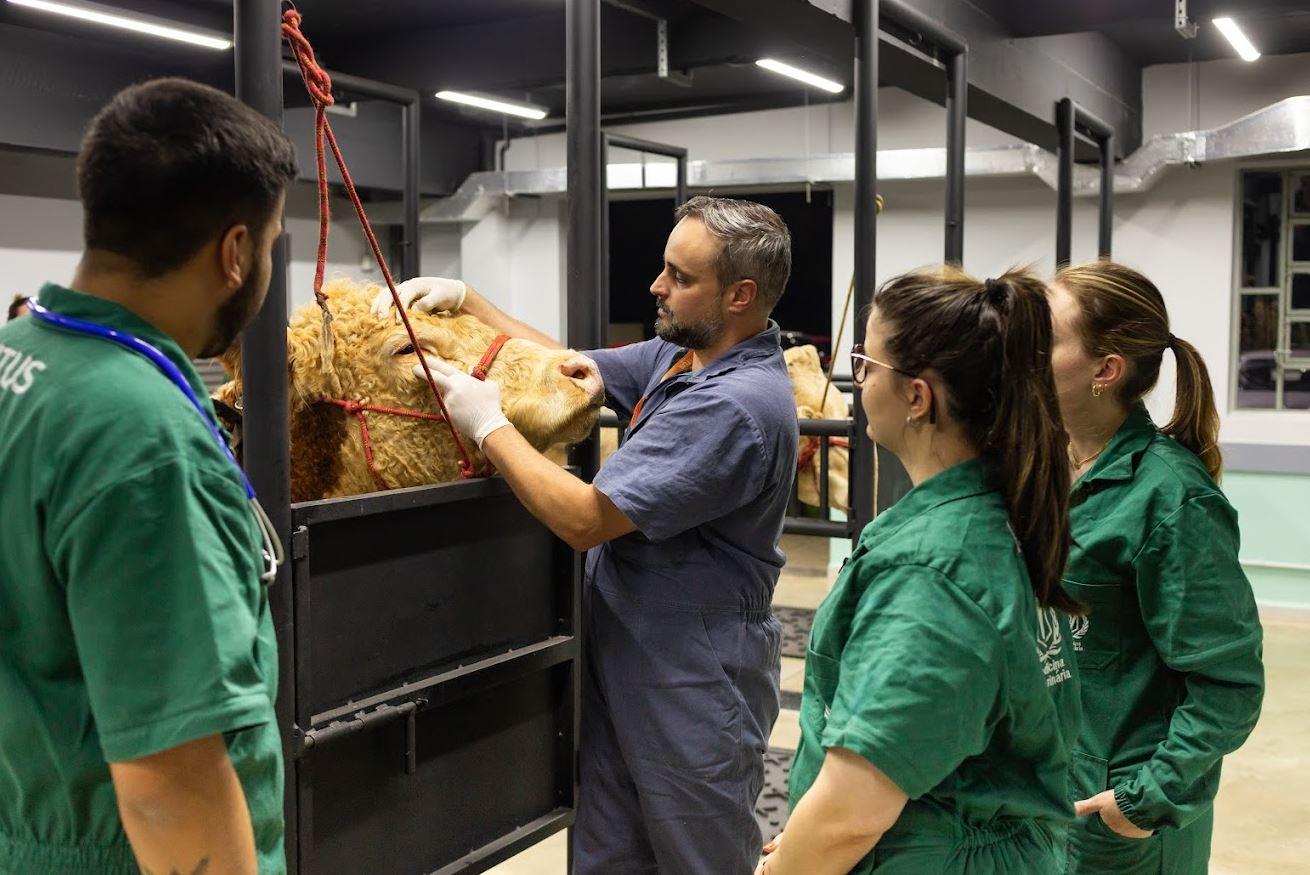 Bahia poderá receber nova unidade de Escola de Agronegócio