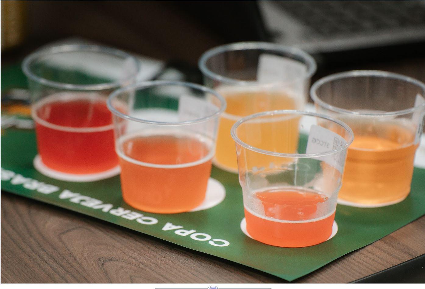 Brasília recebe road show cervejeiro