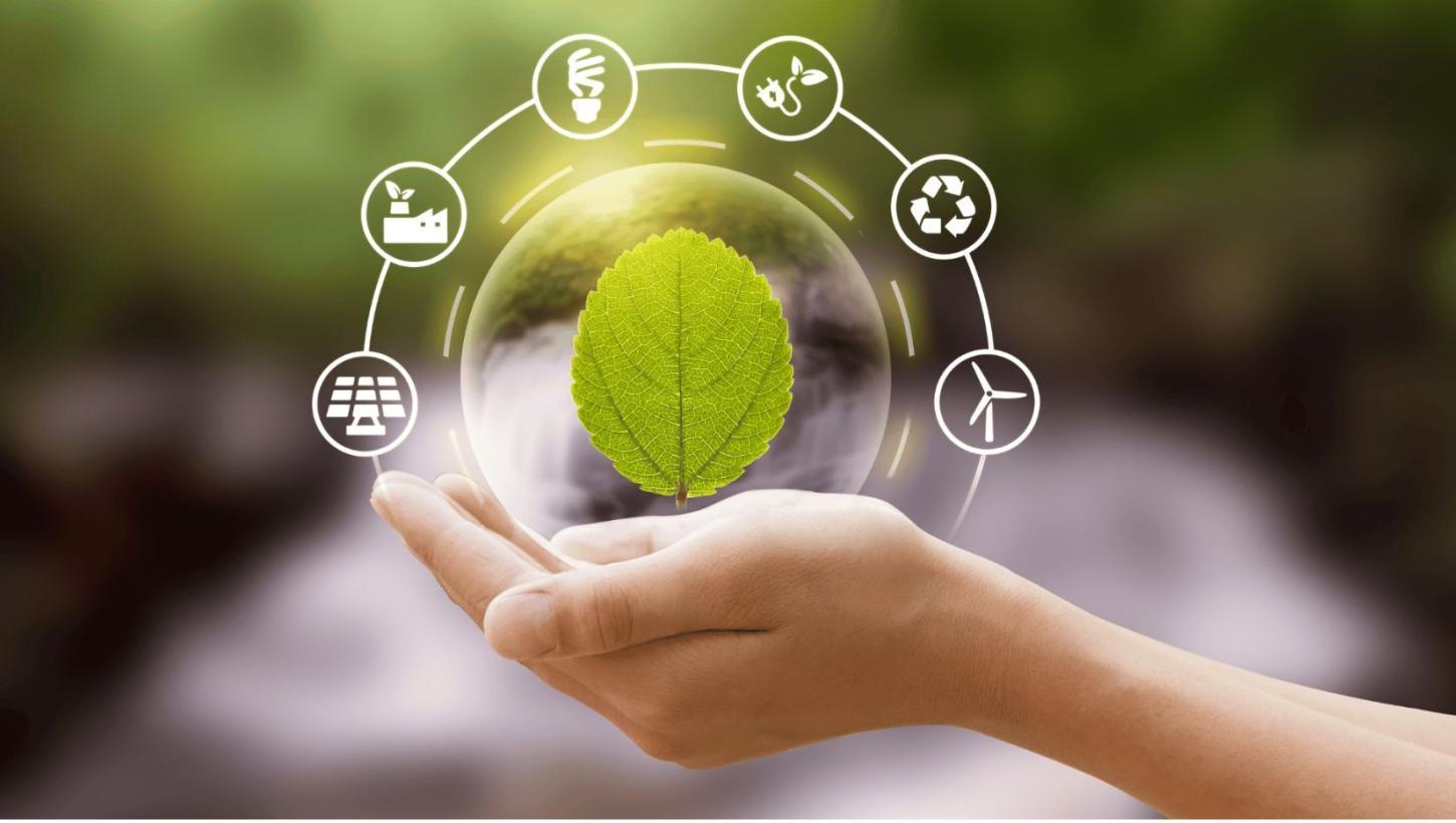 Mês do Meio Ambiente promove conscientização, reciclagem e economia circular nas empresas