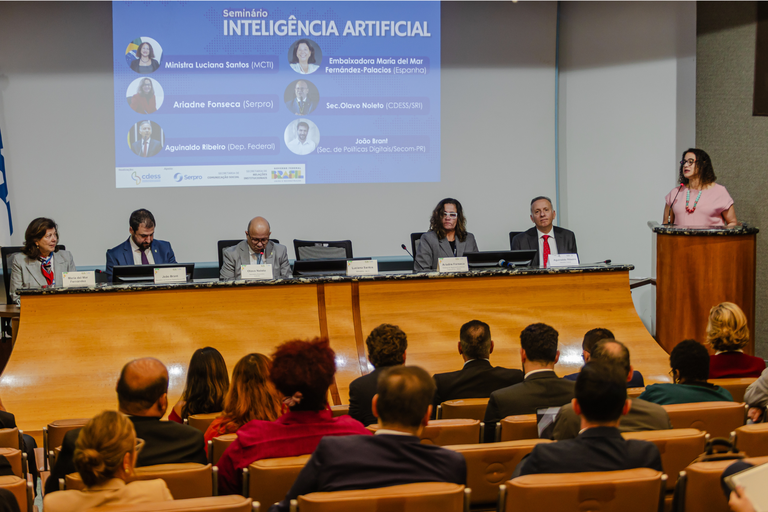 Ministra Luciana Santos reforça papel do PBIA em seminário do Conselhão