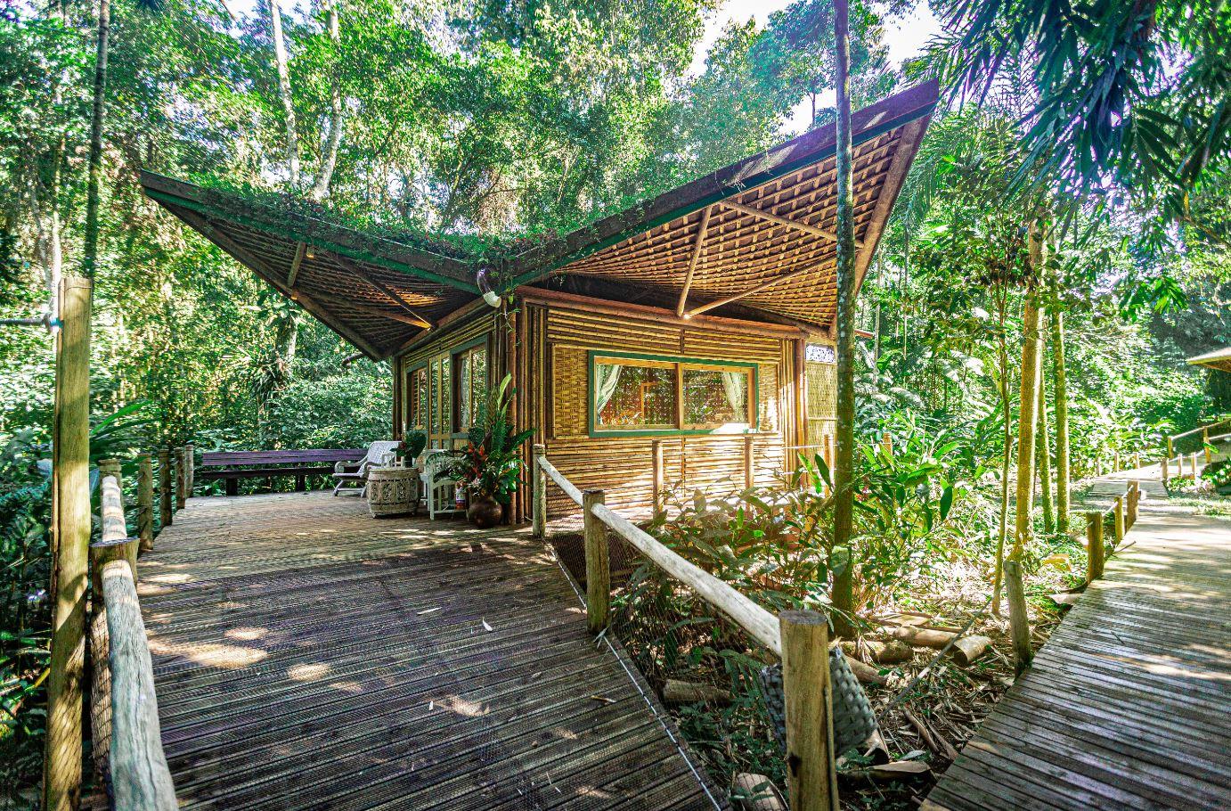 Dia de Proteção às Florestas - 17/07 - O papel do turismo responsável  na proteção das florestas