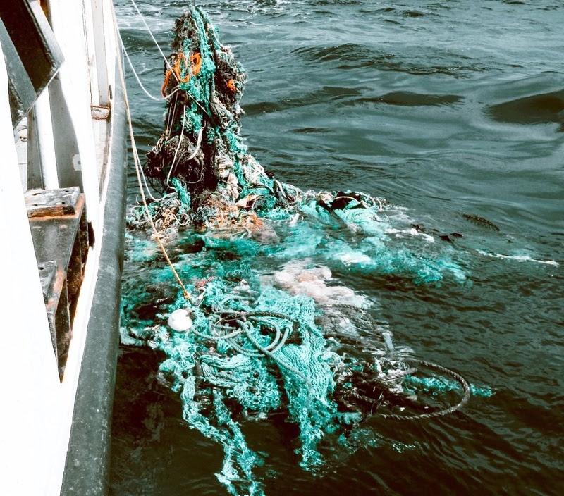 Aliança estratégica entre Fracttal e Gravity Wave projeta remover três toneladas de plástico marinho em 2025