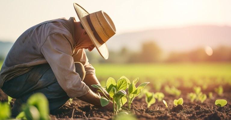 Prazo de entrega das Declarações do Imposto Territorial Rural começa na segunda-feira, 11