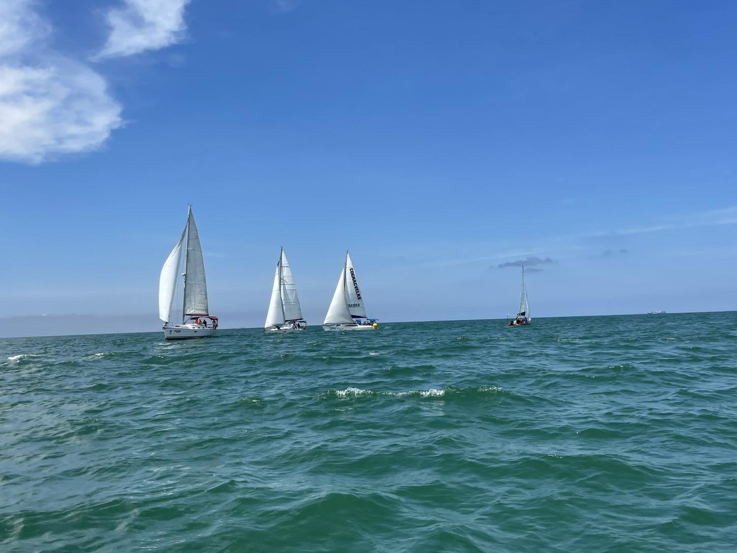 1ª Semana de Vela Marina Itajaí deve atrair 500 pessoas com disputa de barcos por controle remoto e encerramento do circuito de regatas