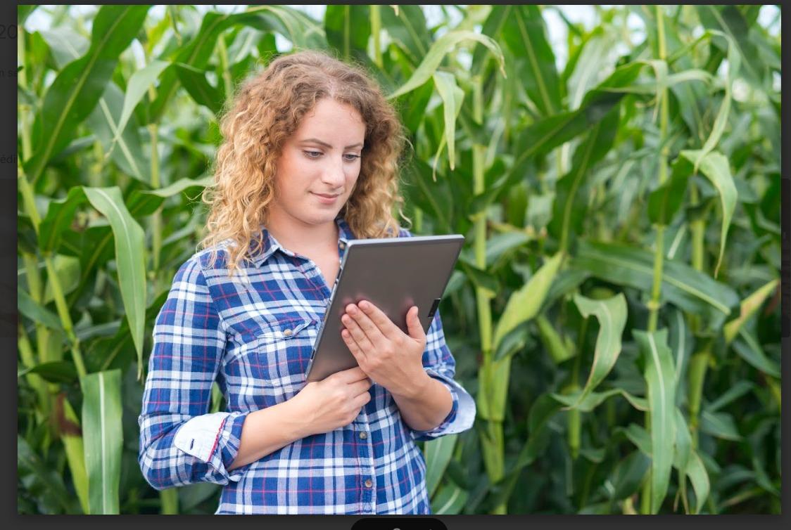 Do campo ao mundo: como o inglês influência no agronegócio brasileiro