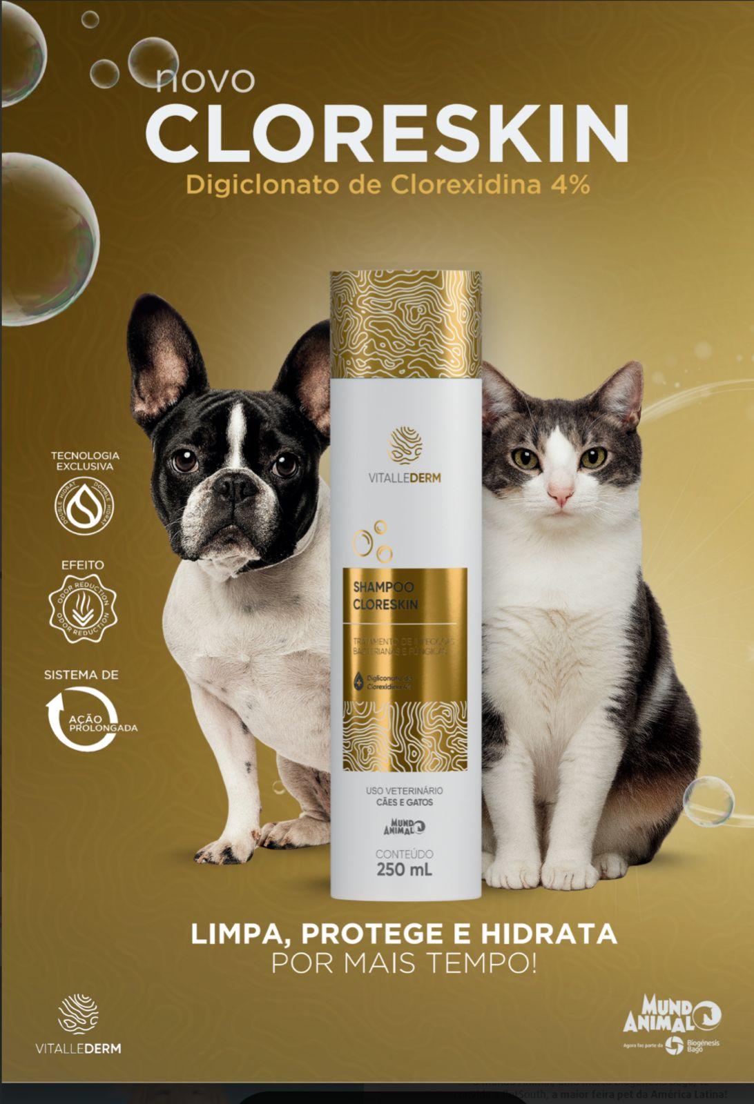 Chegada da primavera aumenta casos de alergia entre pets