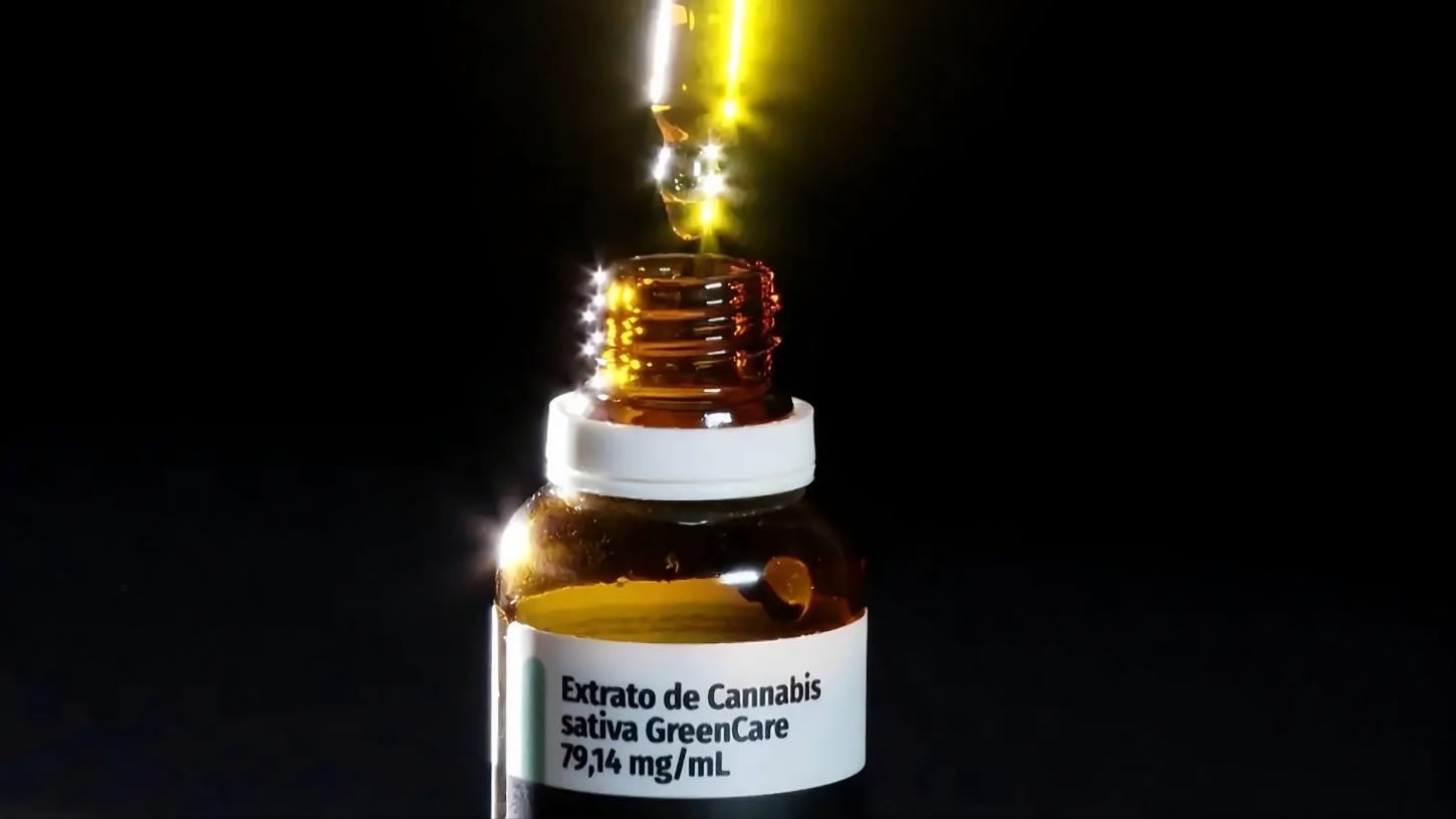 O cultivo de maconha começa a sair do armário no Brasil