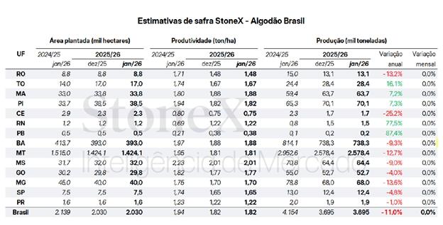 Projeção para a produção de algodão em janeiro segue estável em relação a dezembro, segundo StoneX