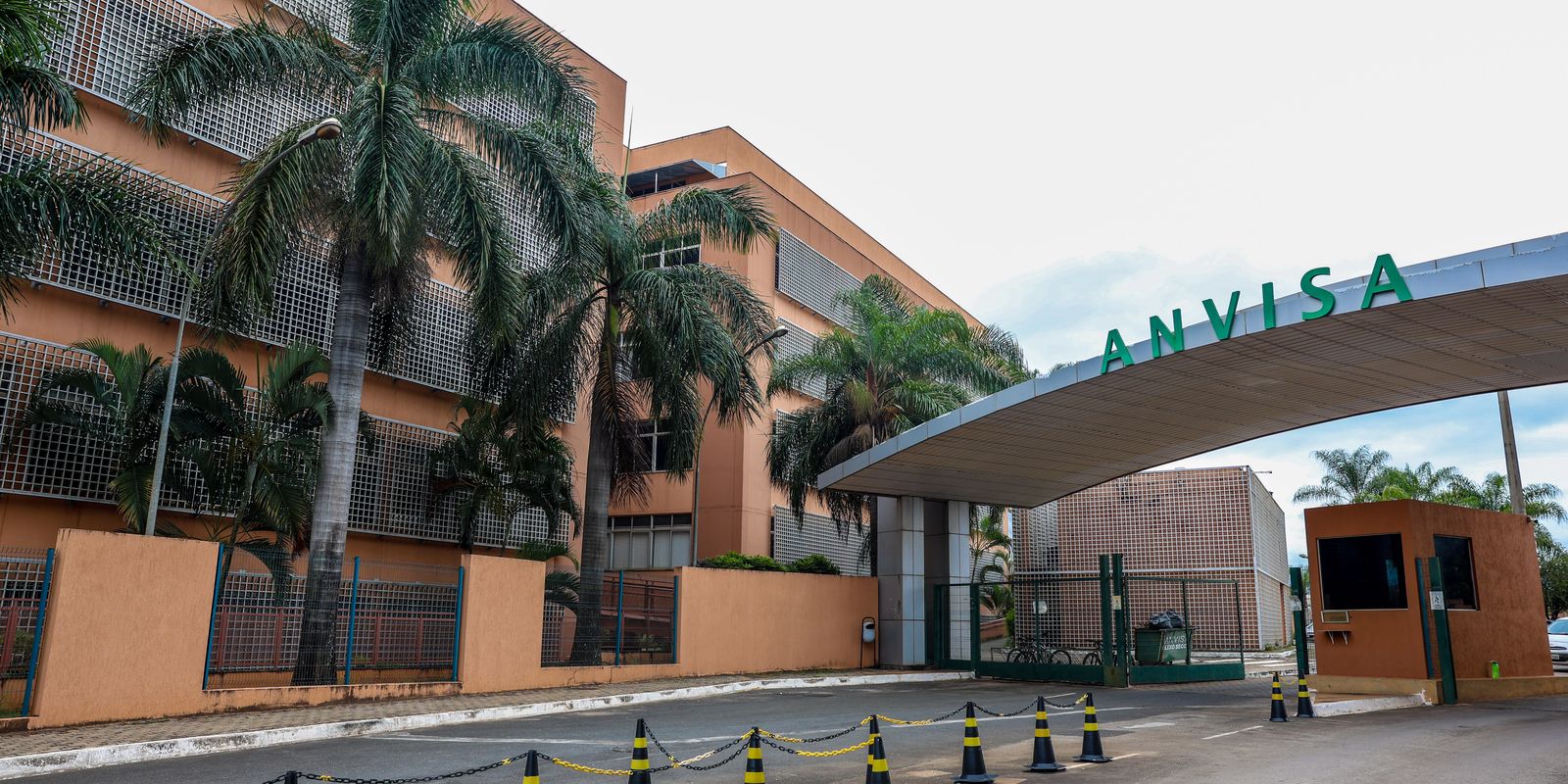 Anvisa: suplementos com cúrcuma podem trazer risco de danos ao fígado