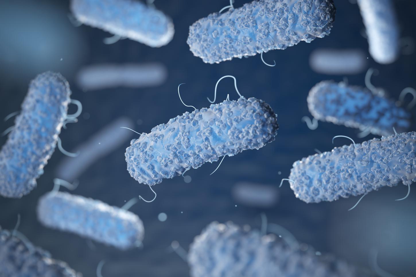 Estudo da patogenicidade da Salmonella sugere novas estratégias de controle no Brasil
