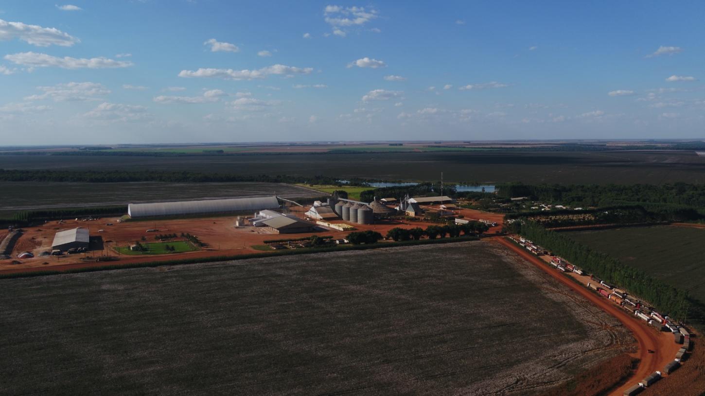 Fazenda Vale do Rio Verde (MT) integra projeto da RTRS e mostra viabilidade da agricultura regenerativa no agro
