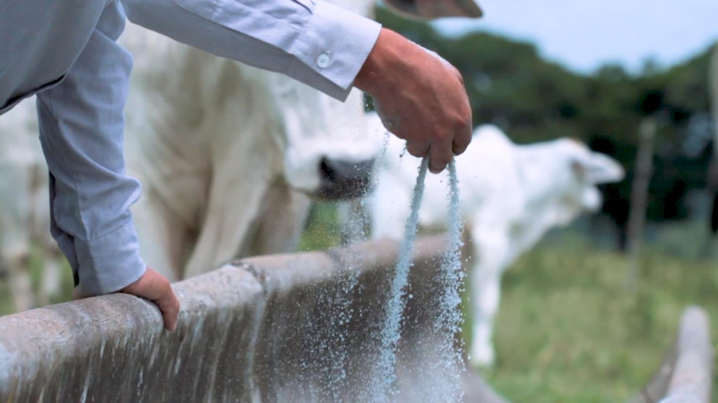 Connan Nutrição Animal apresenta tecnologia Aglomerax na Norte Show em Sinop (MT)