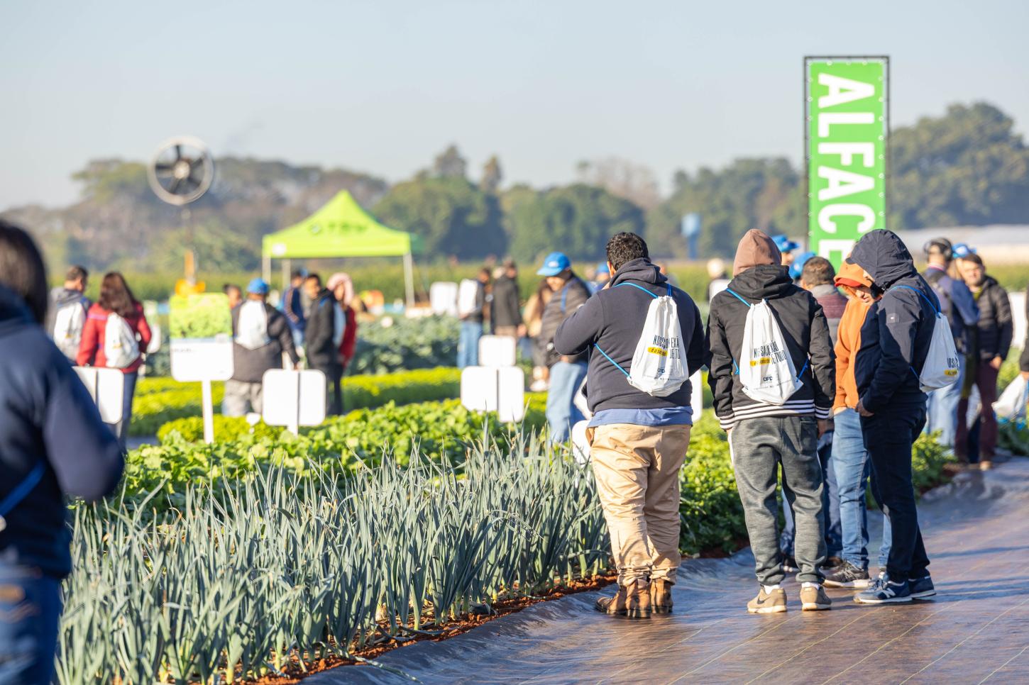 Open Field Day completa 20 anos como vitrine de inovação em horticultura