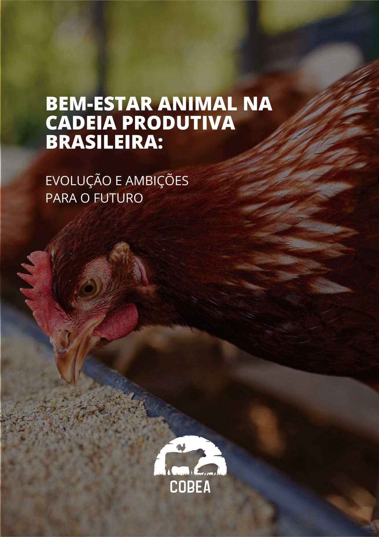 Relatório destaca avanços em bem-estar animal no Brasil e consolida agenda de evolução contínua para aves, suínos e bovinos