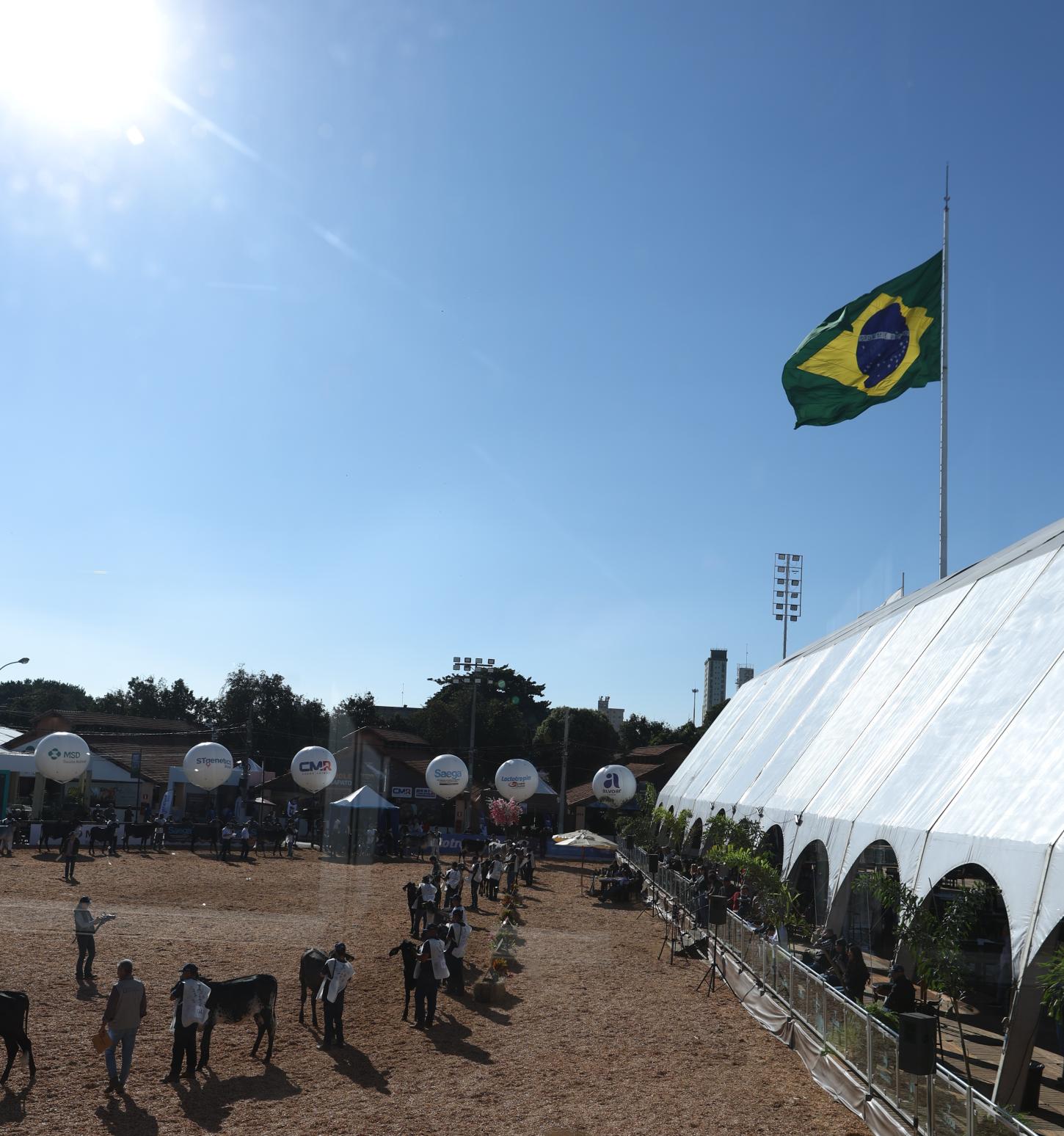 21ª Megaleite encerra com vários recordes
