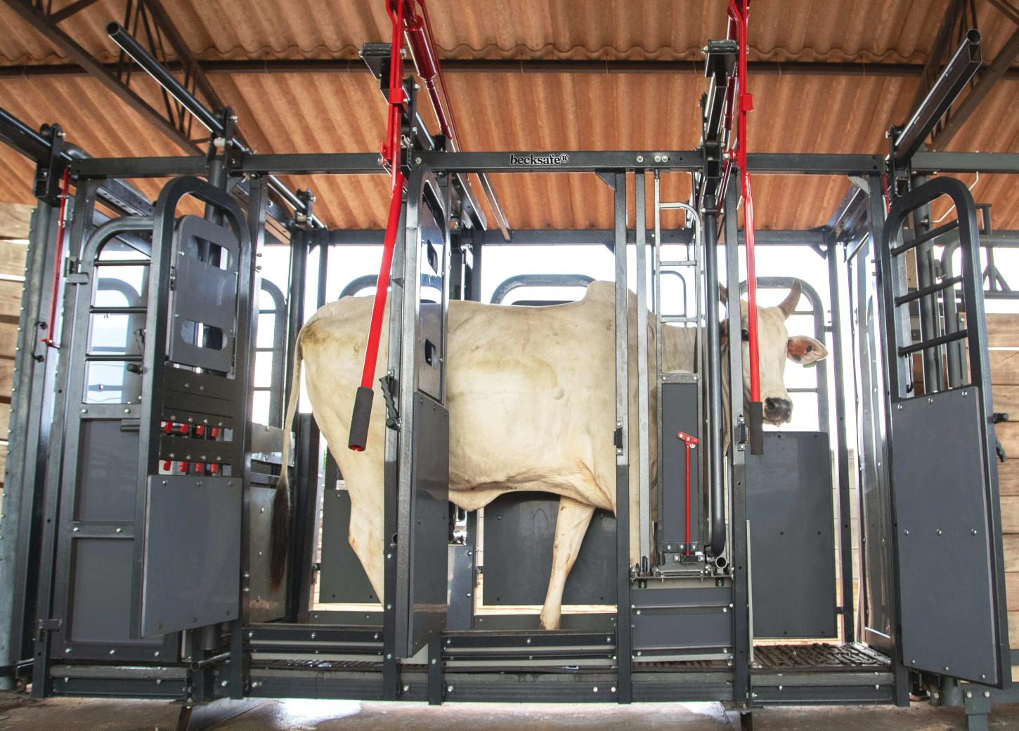 Beckhauser leva tecnologia e soluções para manejo bovino à Expoingá 2026