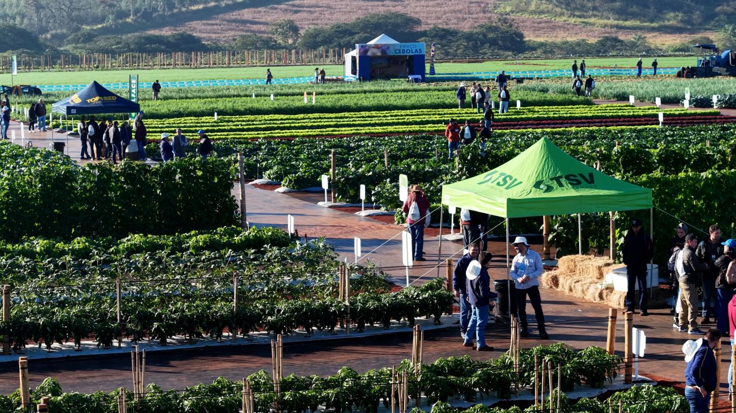 Evento que marcou gerações de produtores completa 20 anos impulsionando a horticultura brasileira