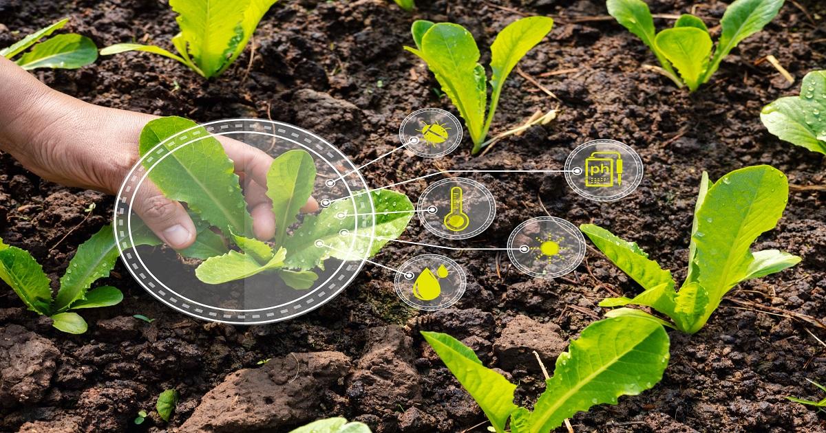 Indústria de bioinsumos busca escalabilidade e segurança jurídica para sustentar crescimento no campo